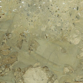 Blue Breccia